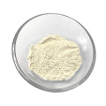 Dehydrated  Garlic Powder Specifications 100-200 Mesh